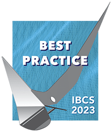IBCS Best Practice 2023